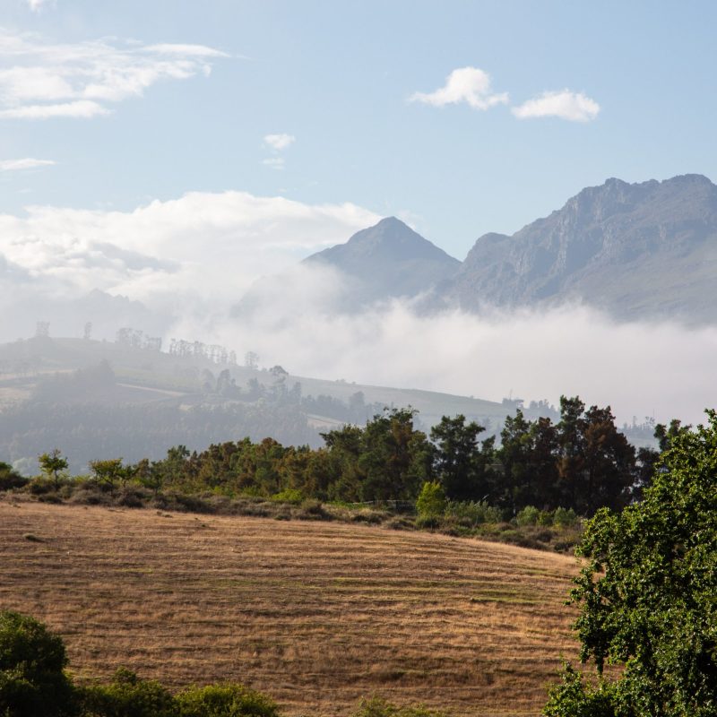 26_02 RH Harvest by Charl du Preez-9778